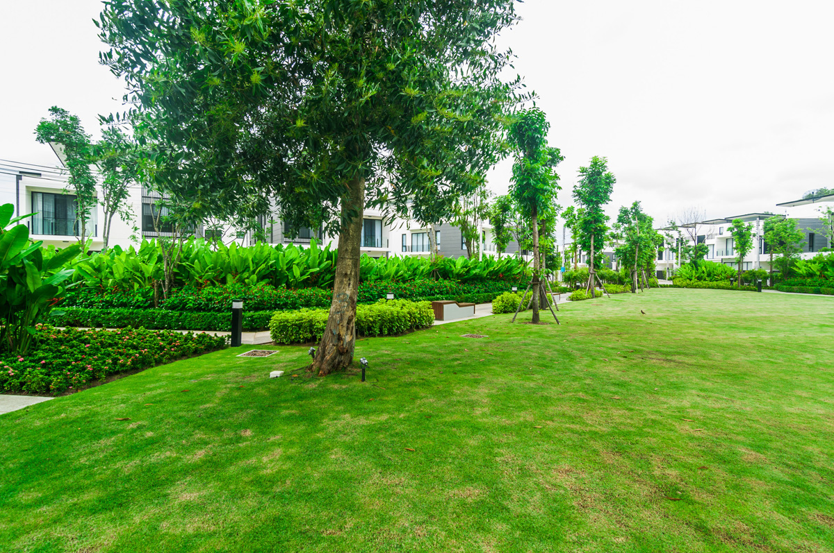 Property image - gallery 37