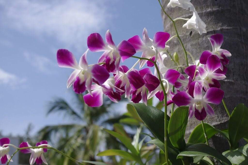 Property image - gallery 33