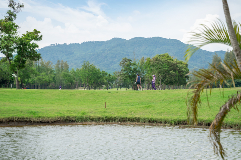 Property image - gallery 54