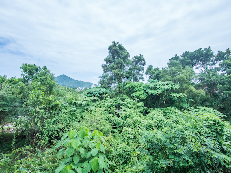 Property image - gallery 56