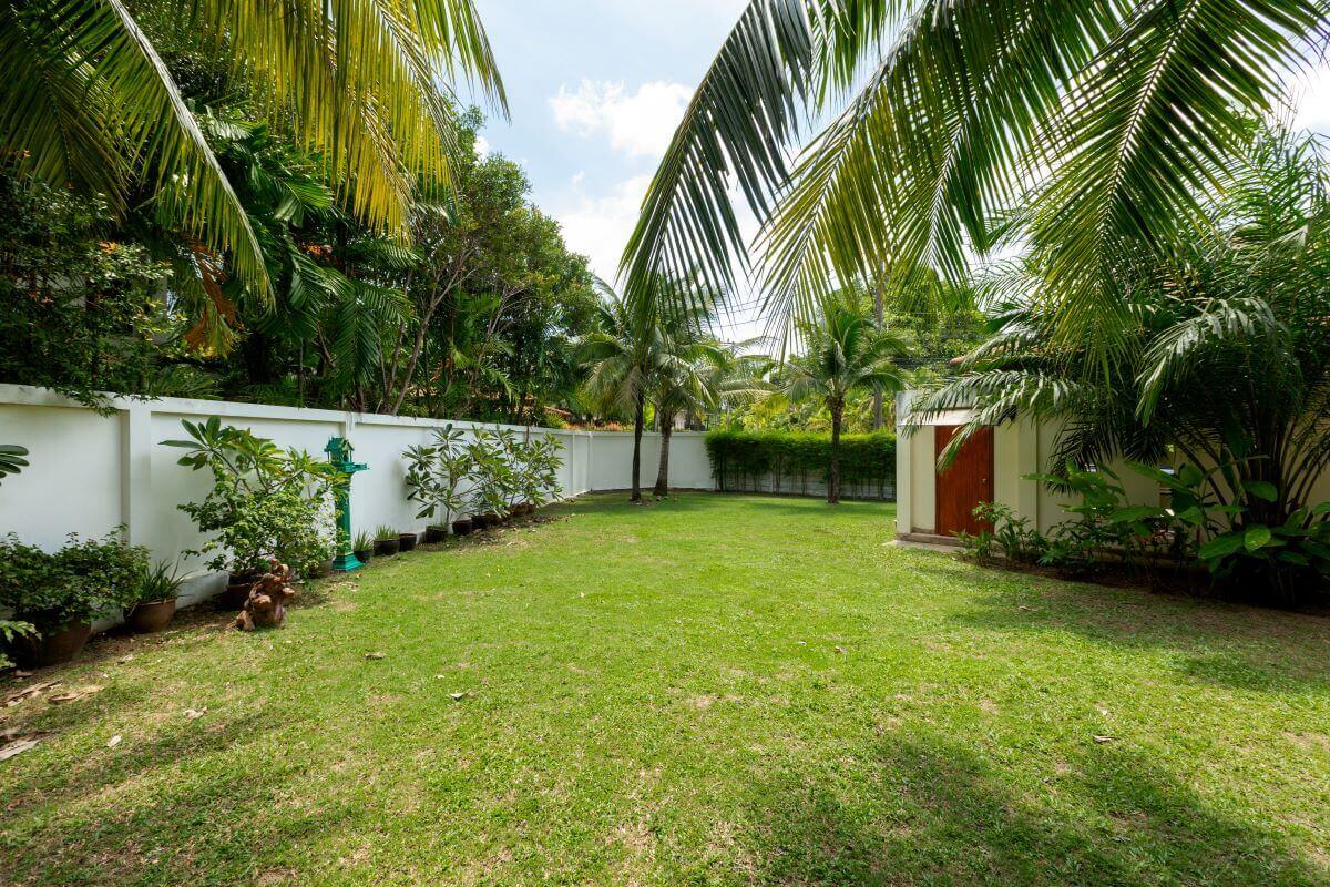 Property image - gallery 28