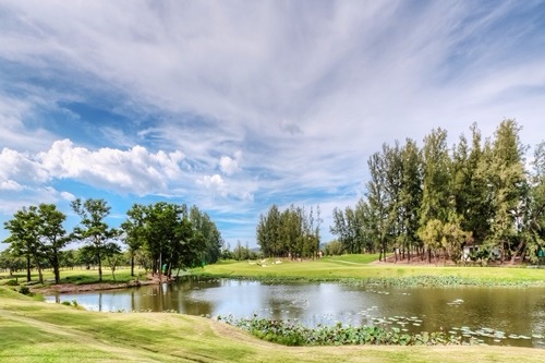 Property image - gallery 29