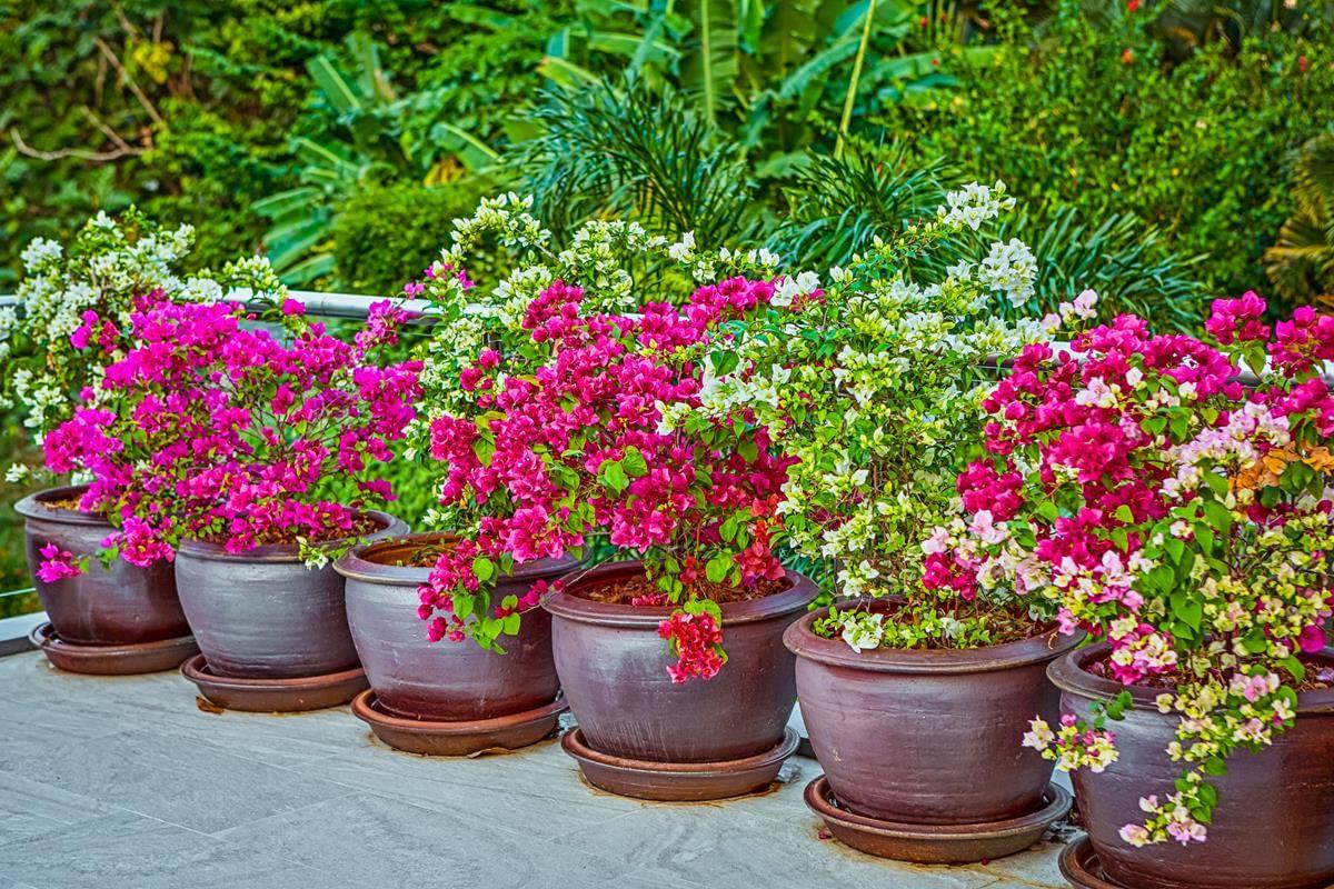 Property image - gallery 10