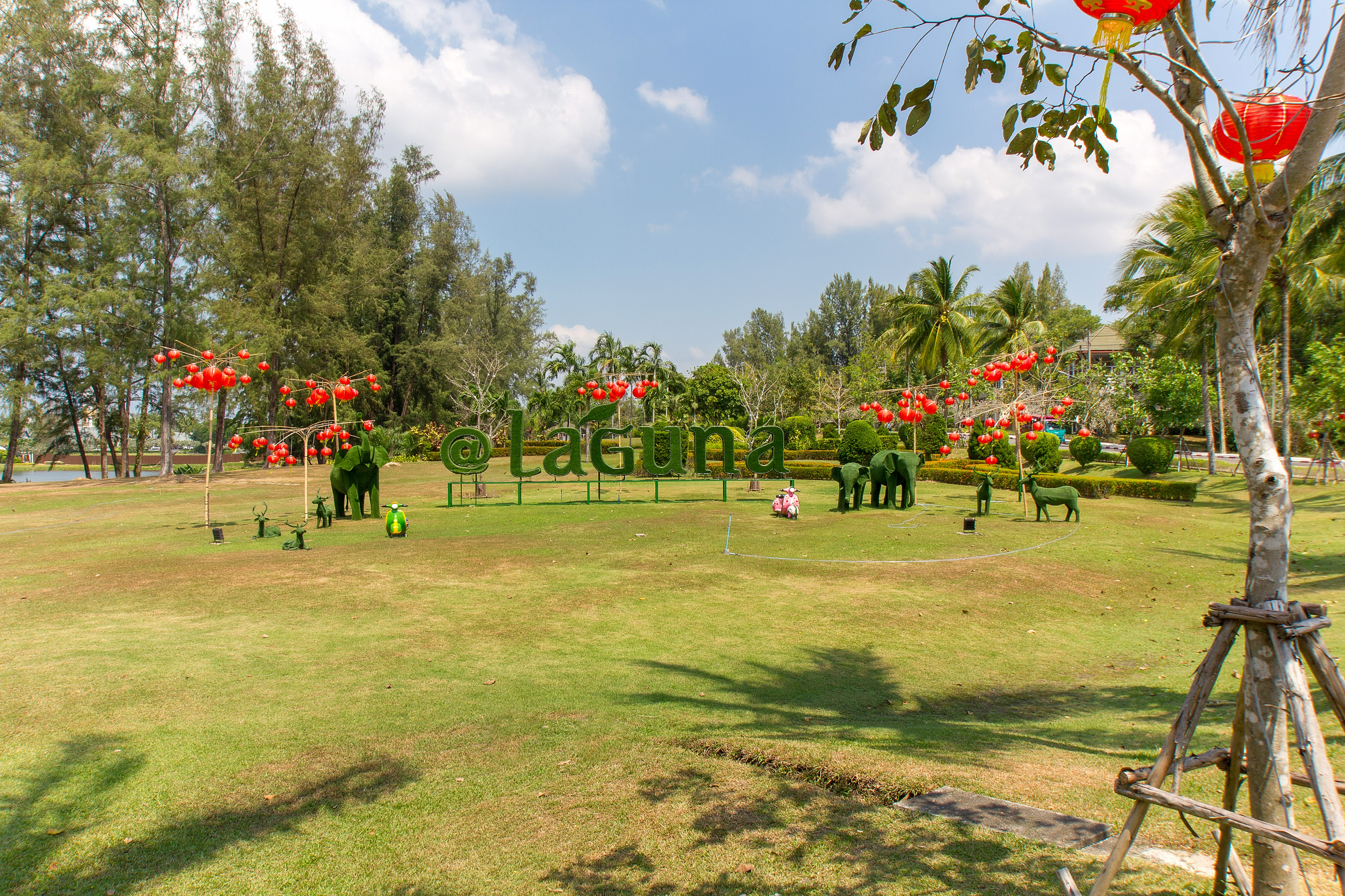 Property image - gallery 37