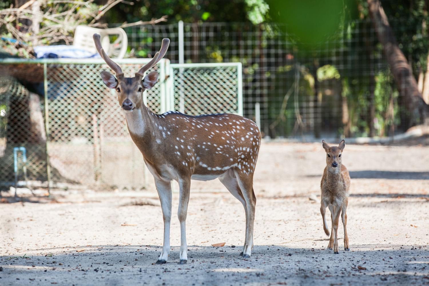 Property image - gallery 14