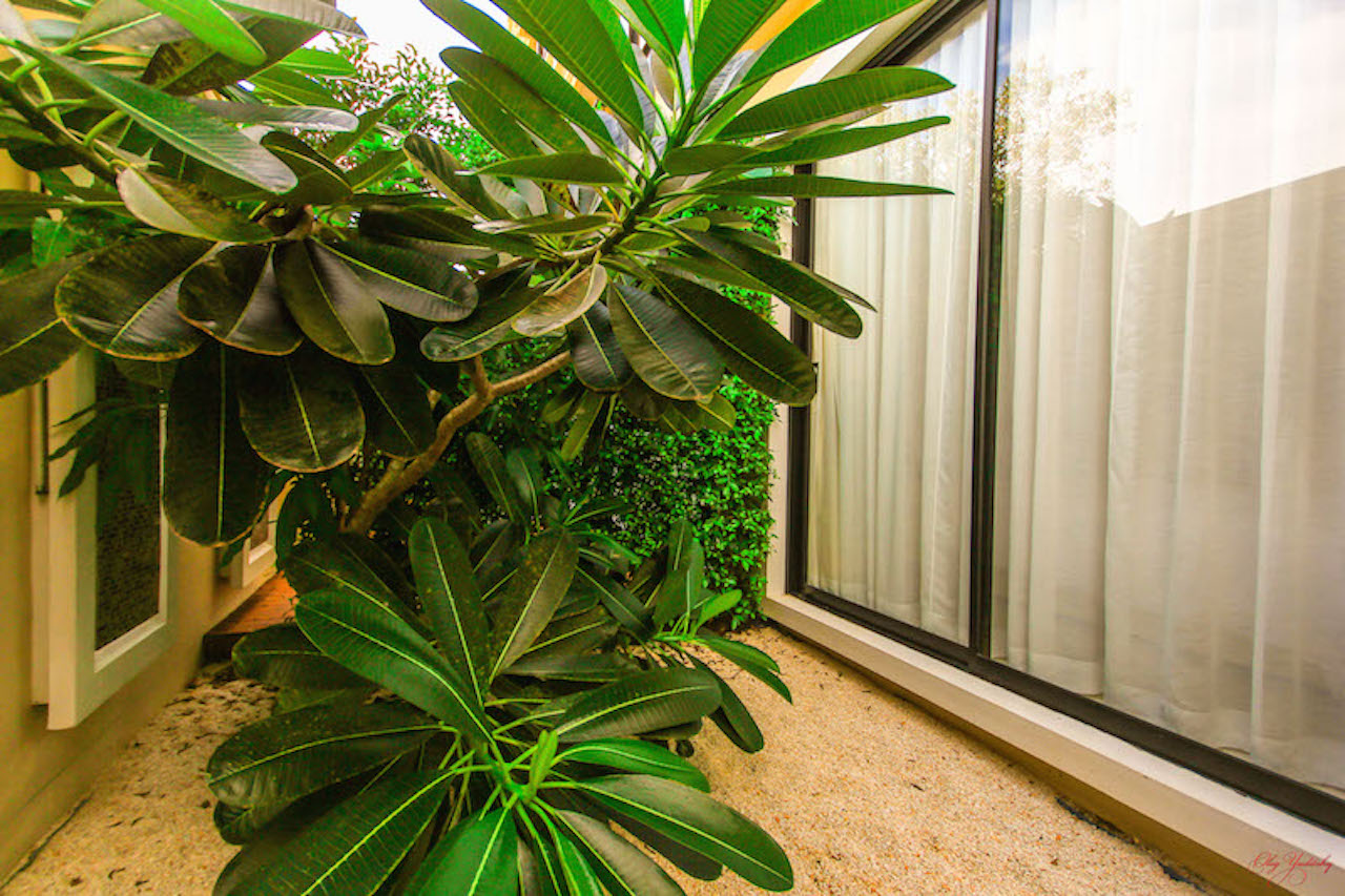 Property image - gallery 27