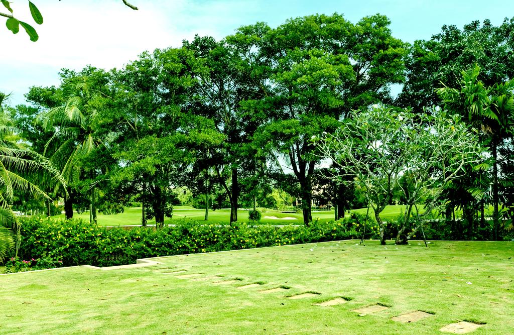 Property image - gallery 23