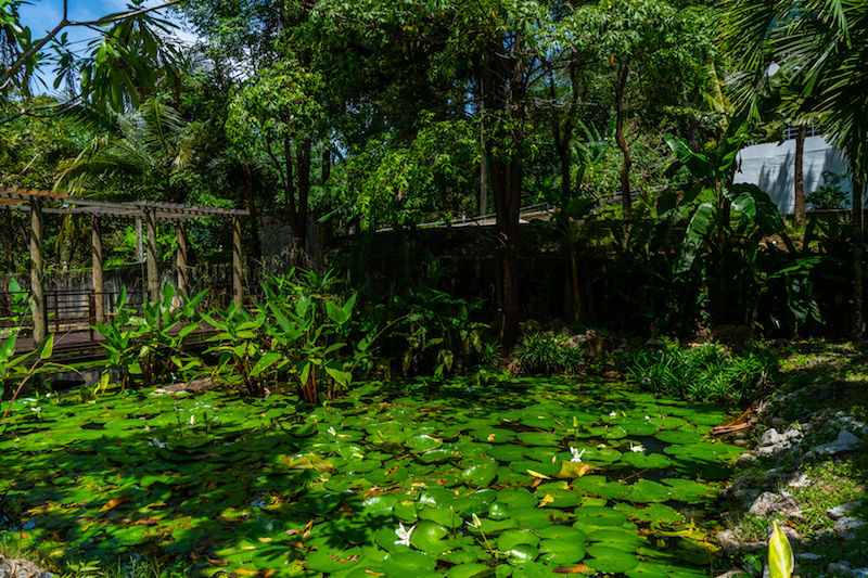 Property image - gallery 39