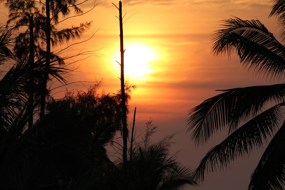 Property image - gallery 8