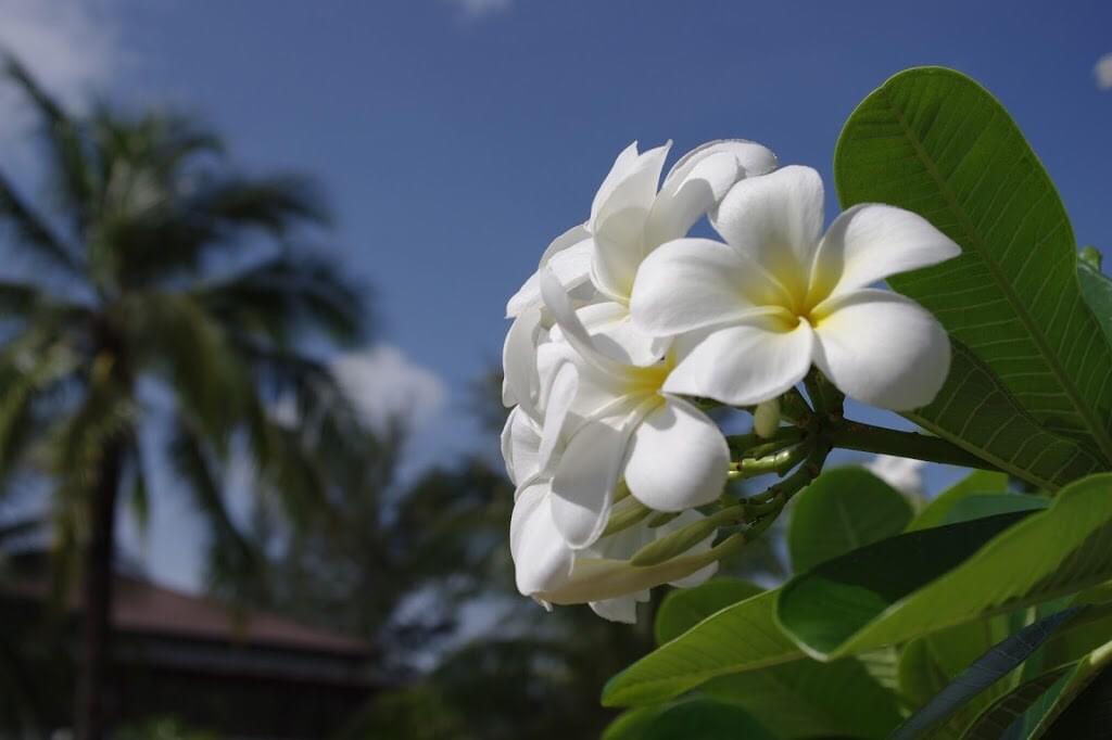 Property image - gallery 34