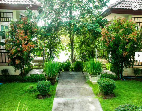 Property image - gallery 16