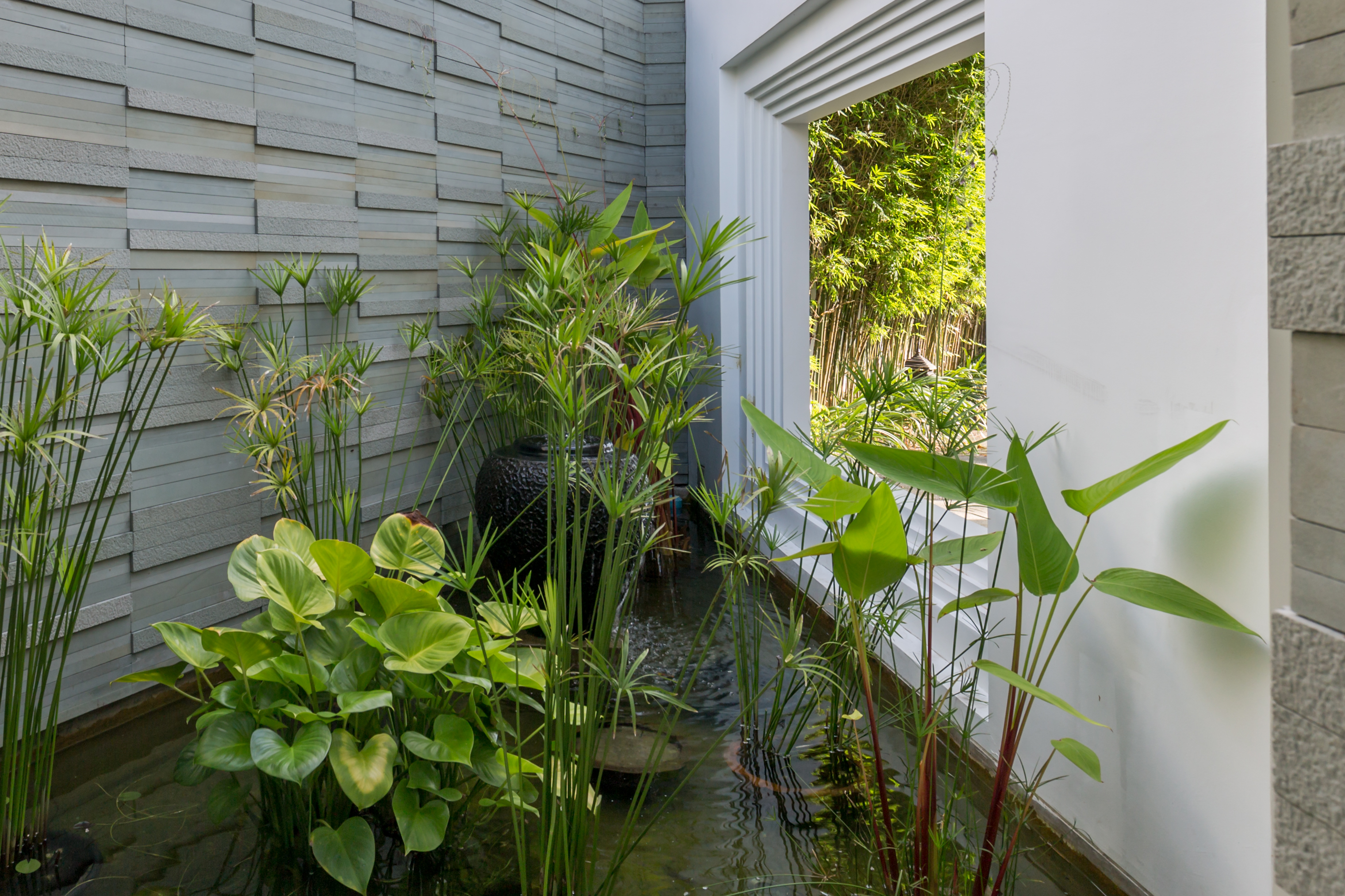 Property image - gallery 29