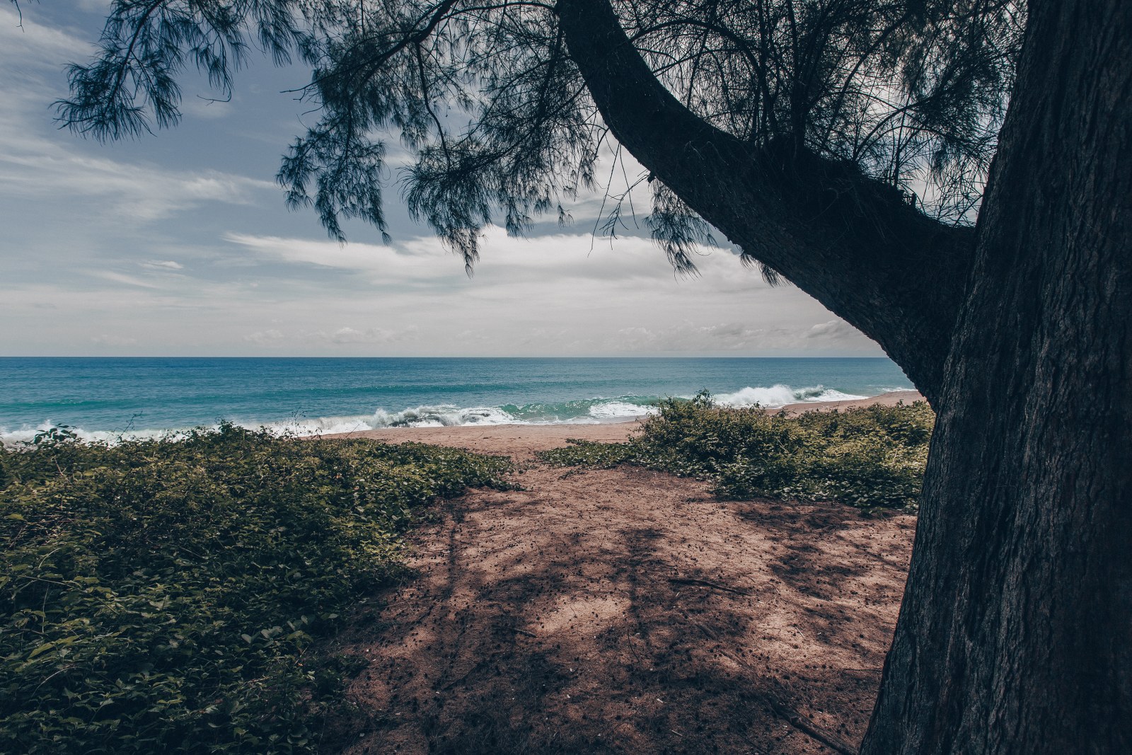 Property image - gallery 41