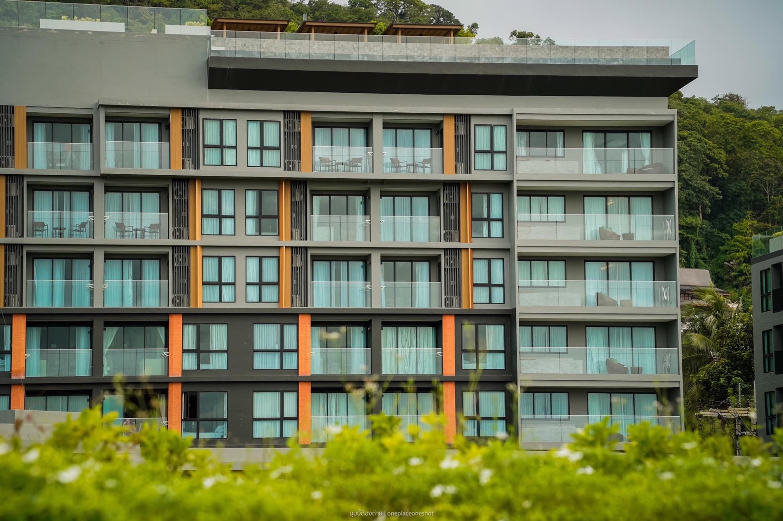 Property image - gallery 41