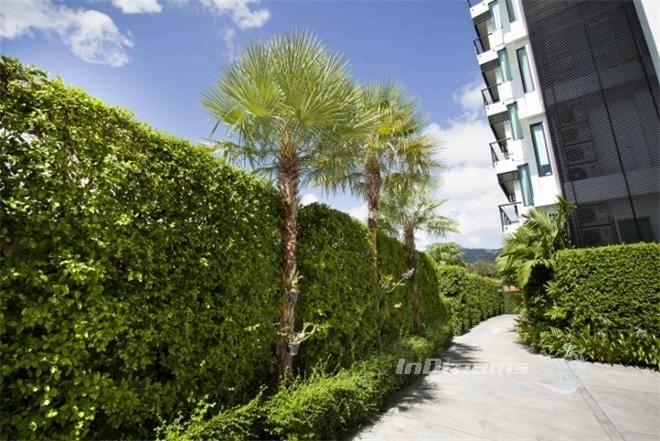 Property image - gallery 22