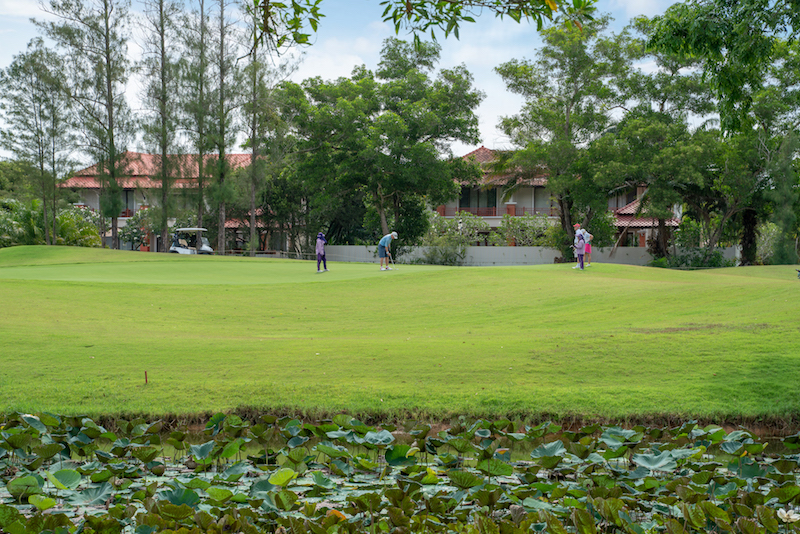 Property image - gallery 53