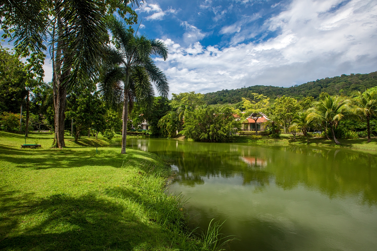 Property image - photo 2