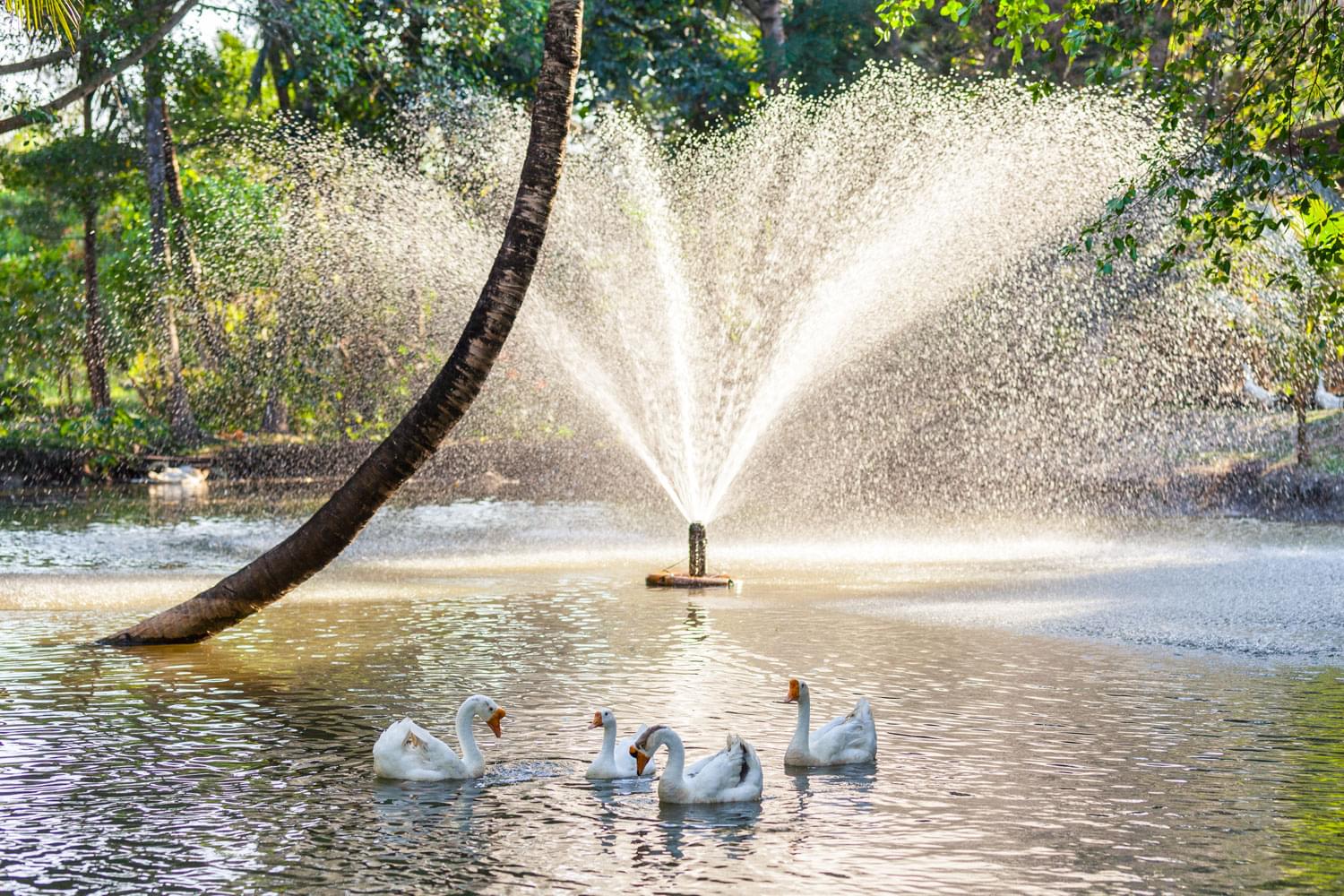 Property image - gallery 15