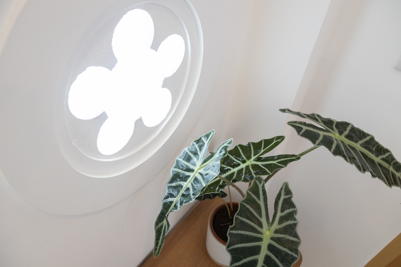 Property image - gallery 57