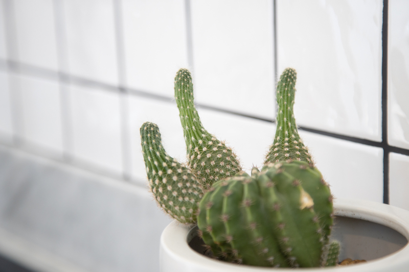 Property image - gallery 59