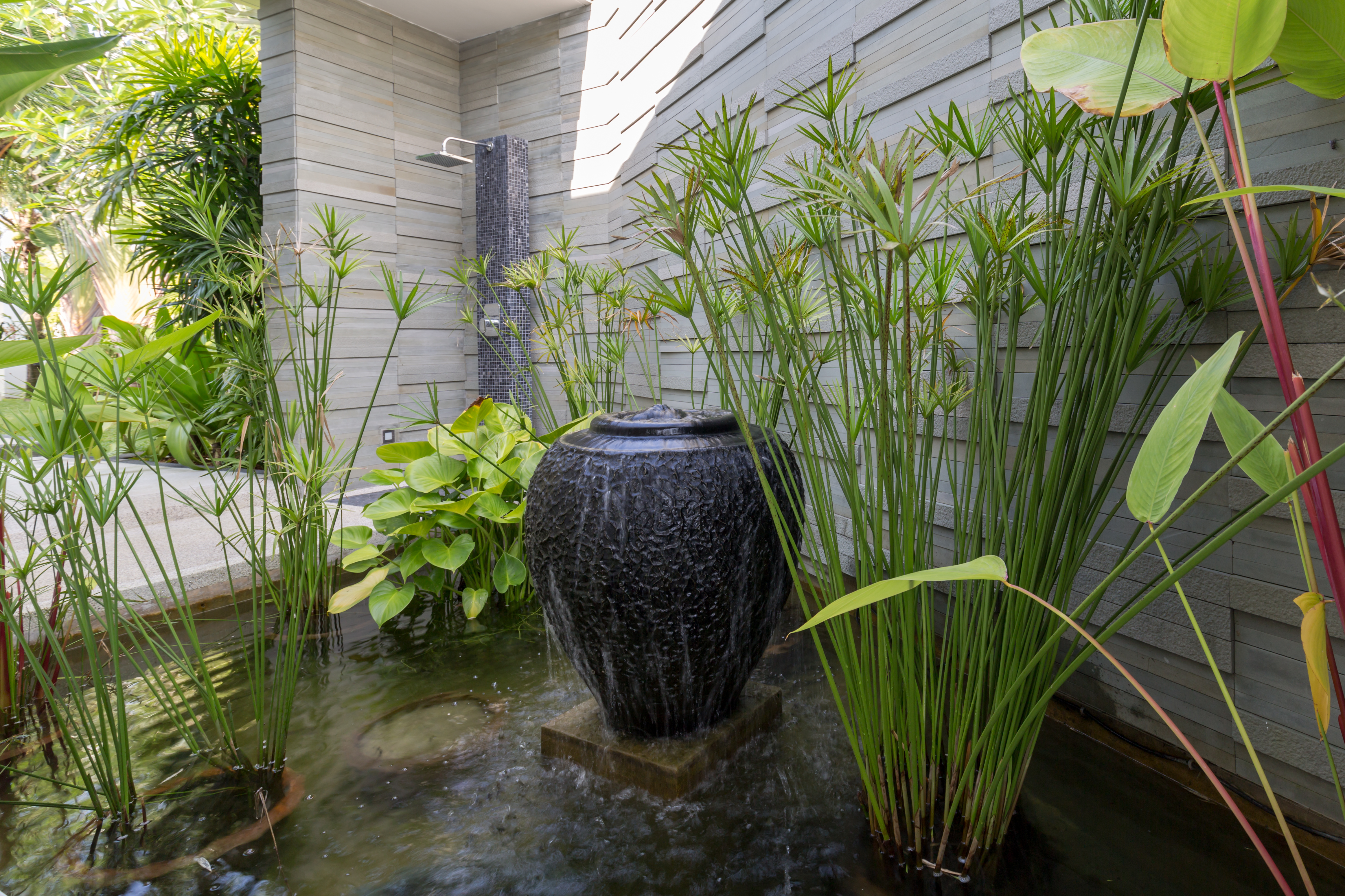 Property image - gallery 53