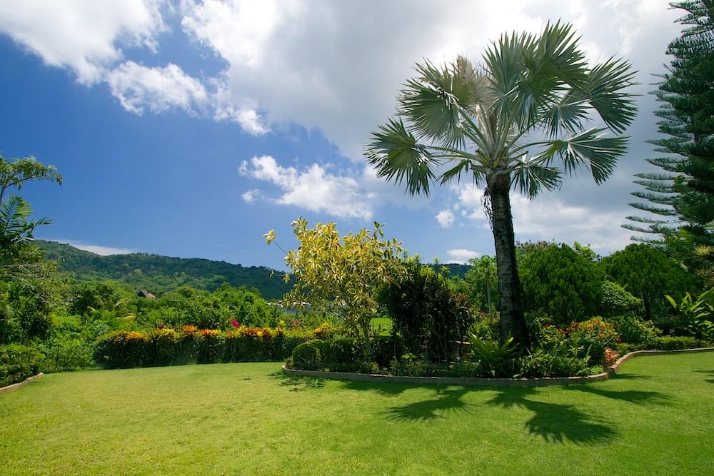 Property image - gallery 33