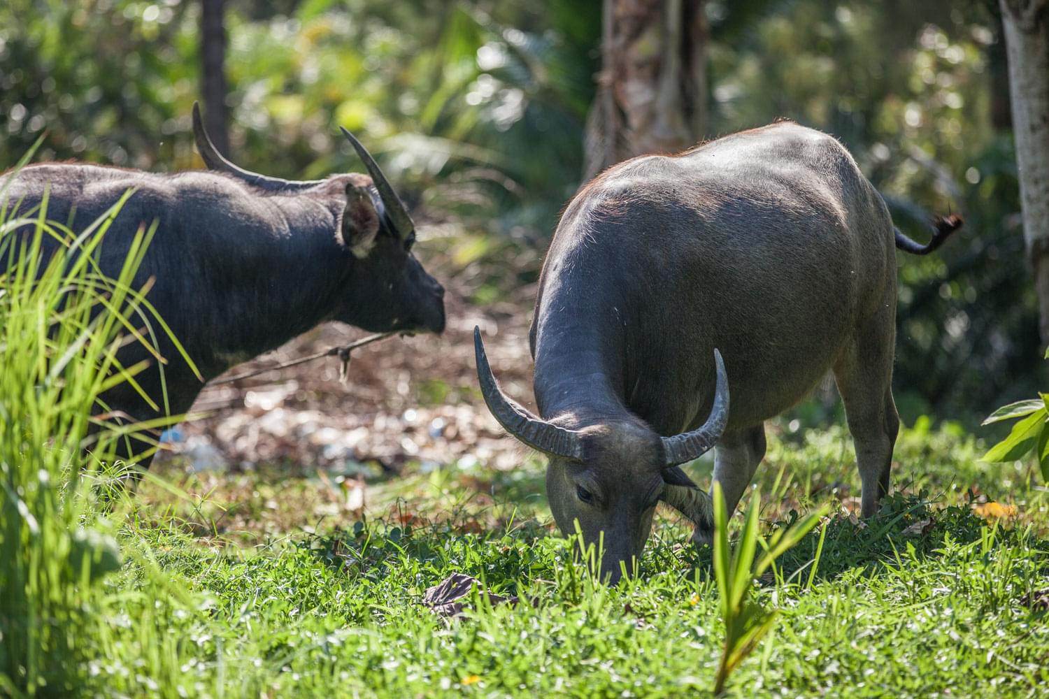 Property image - gallery 12