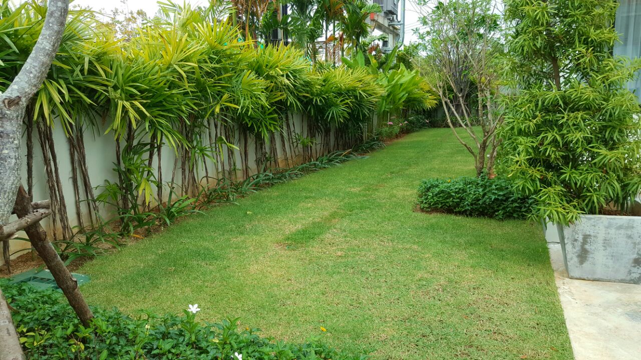 Property image - gallery 14