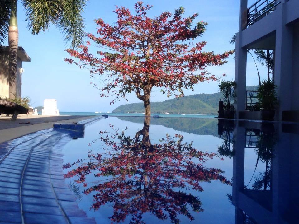 Property image - gallery 11