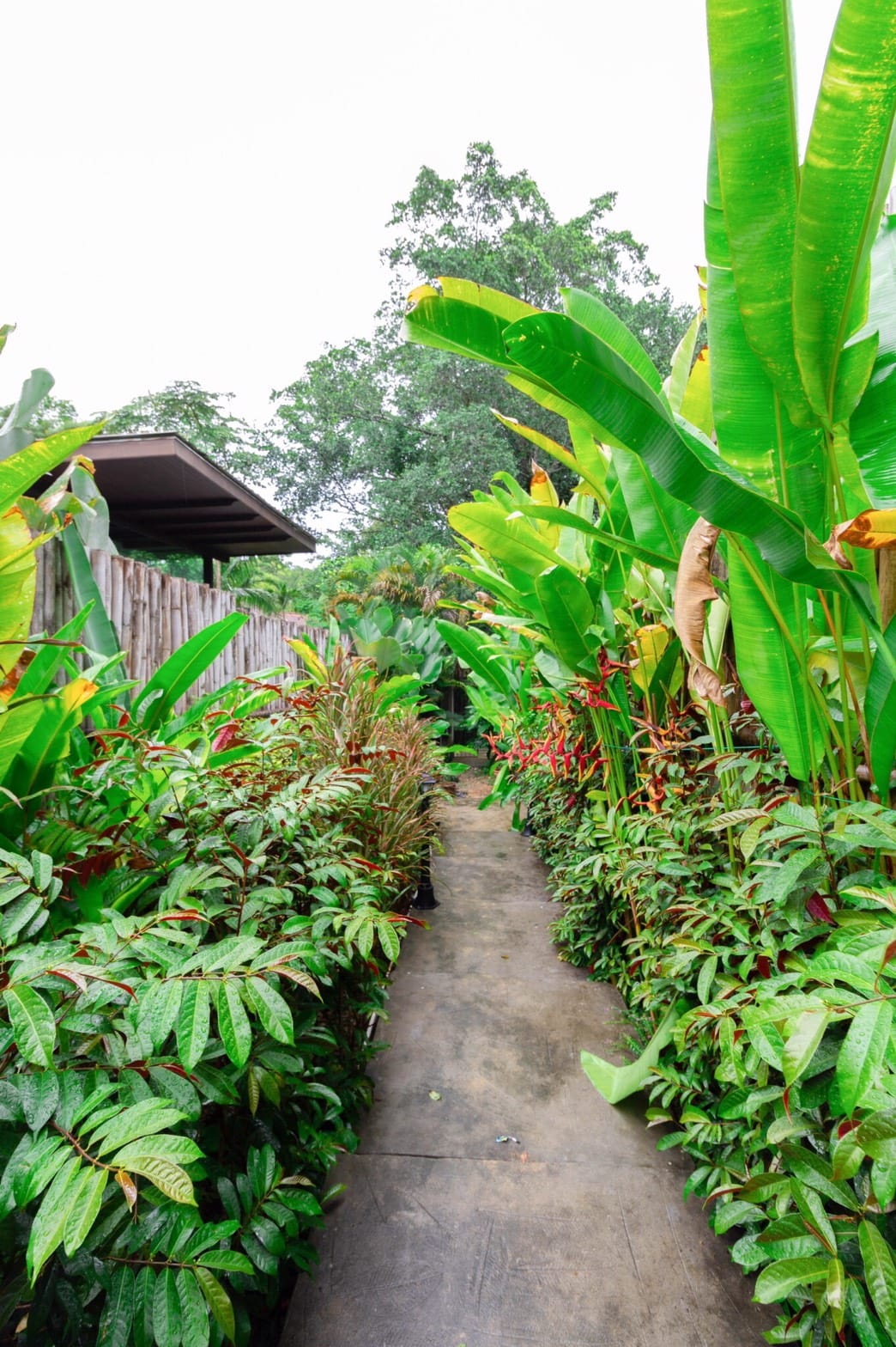 Property image - gallery 17