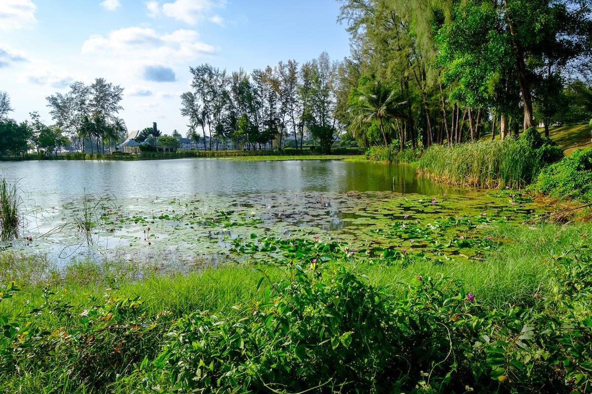 Property image - gallery 33