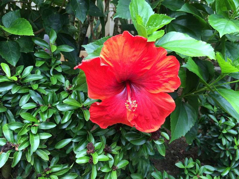 Property image - gallery 30