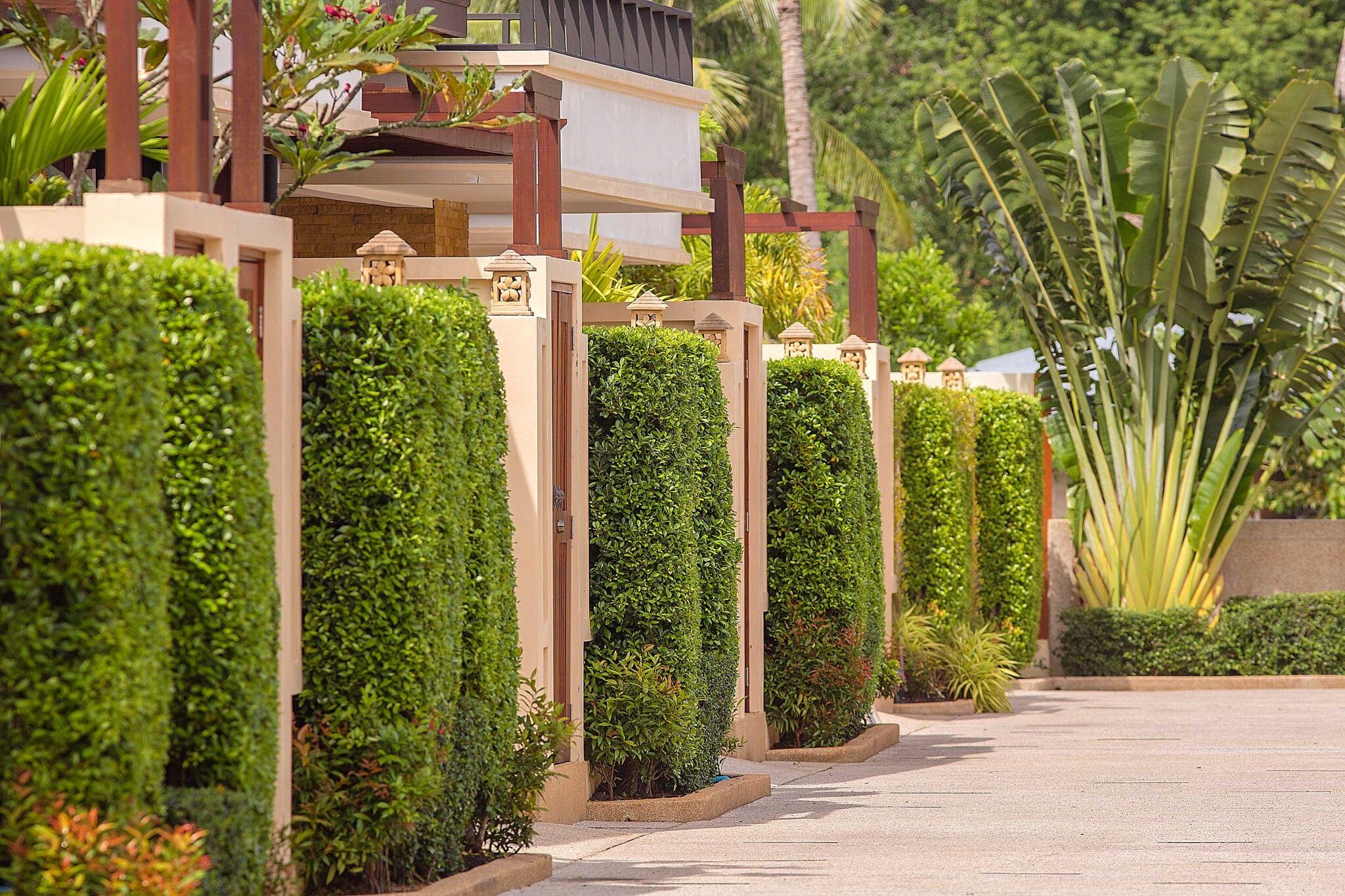 Property image - gallery 15