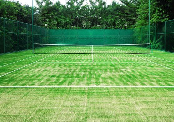 Property image - gallery 8