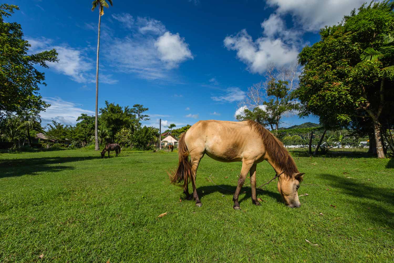 Property image - gallery 17