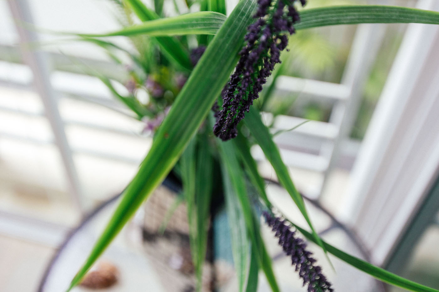 Property image - gallery 46