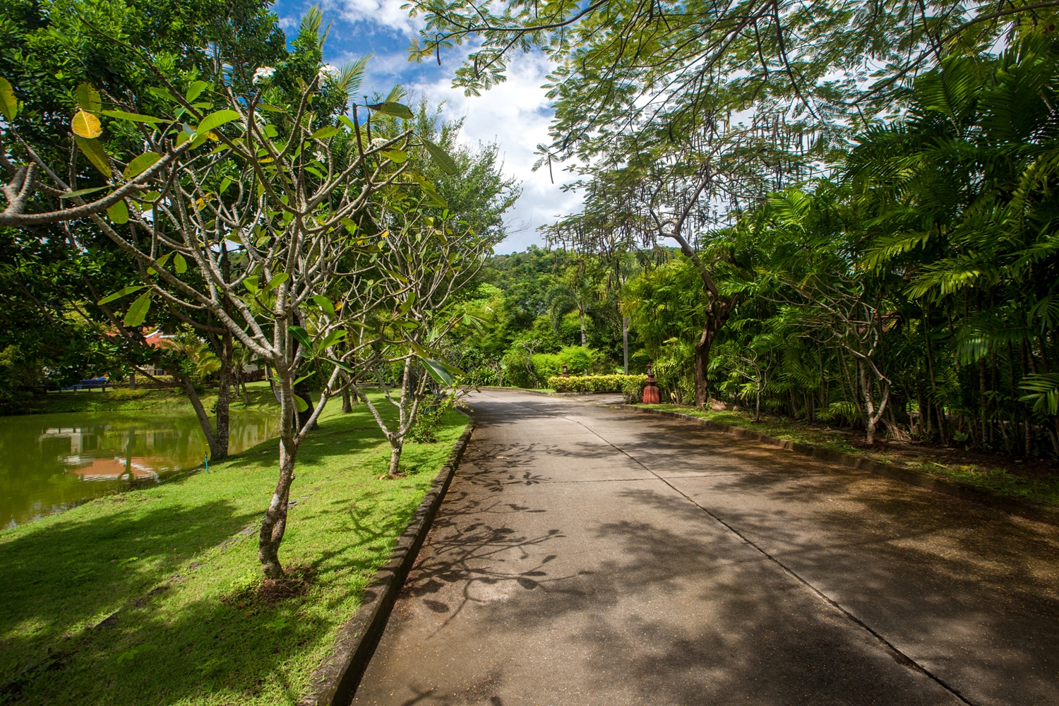 Property image - photo 3