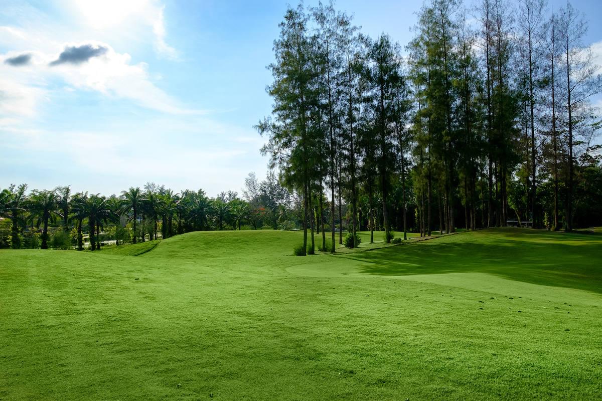 Property image - gallery 39