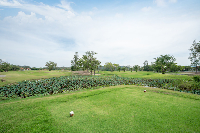 Property image - gallery 52