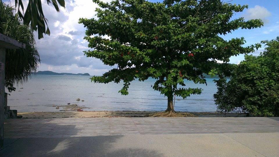 Property image - gallery 16