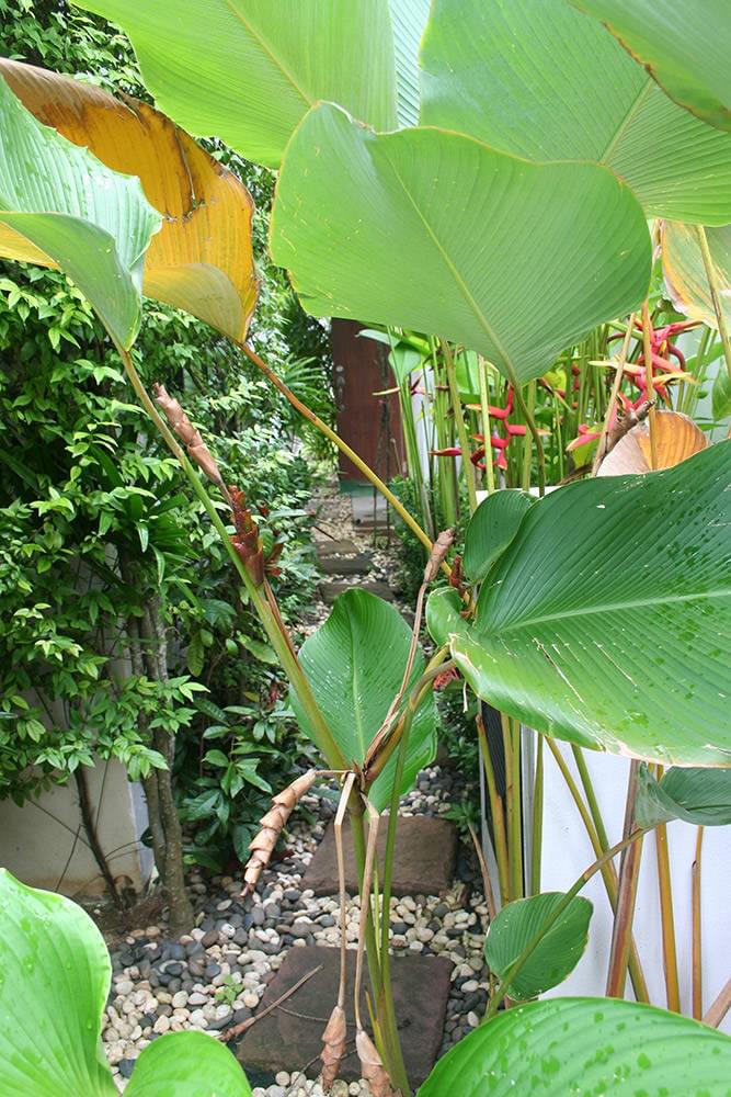 Property image - gallery 9