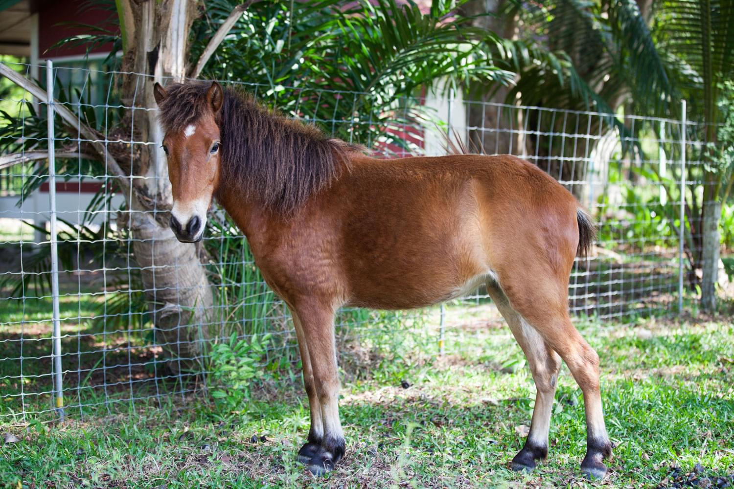 Property image - gallery 14