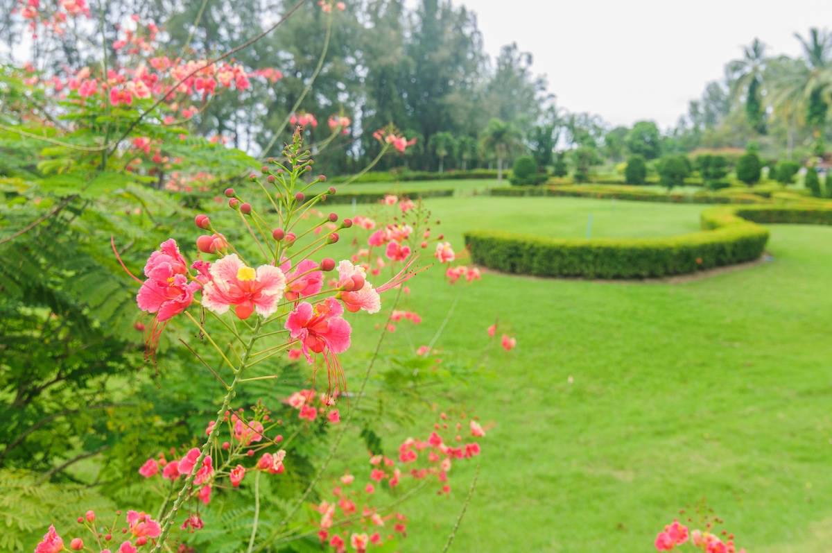 Property image - gallery 44