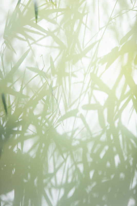 Property image - gallery 42