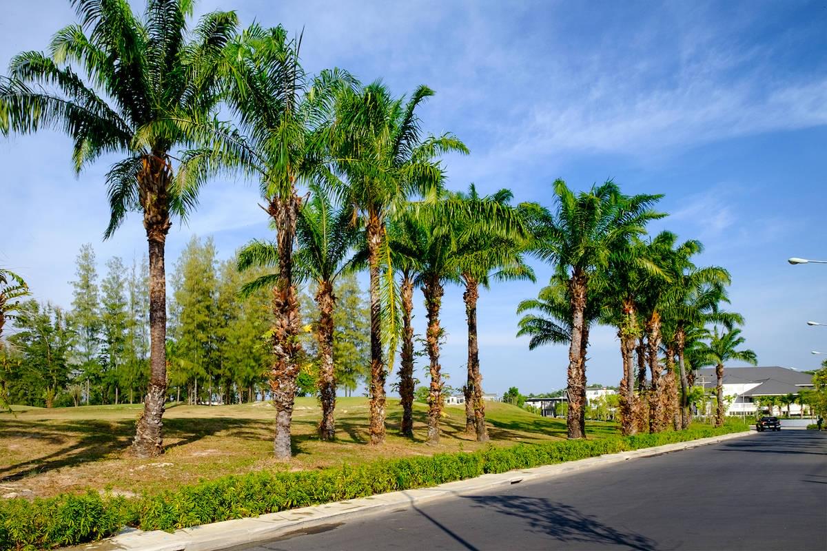 Property image - gallery 30