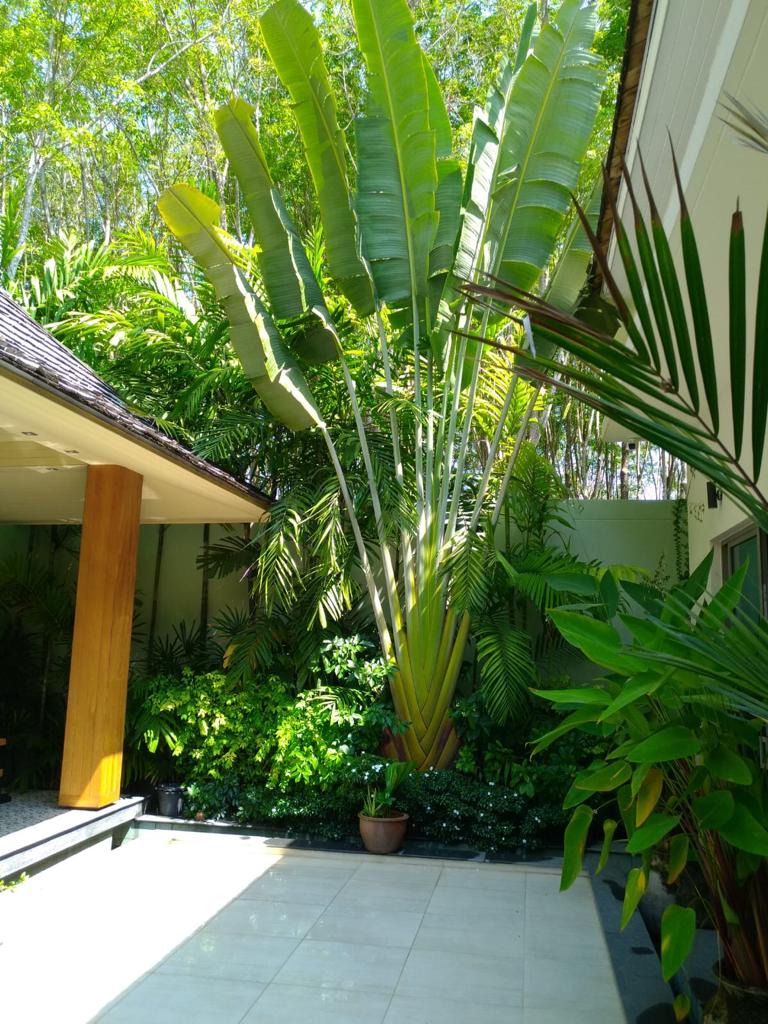 Property image - gallery 21