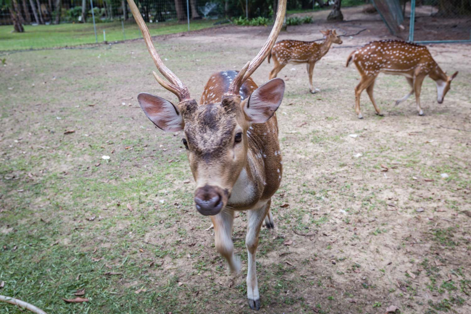 Property image - gallery 20