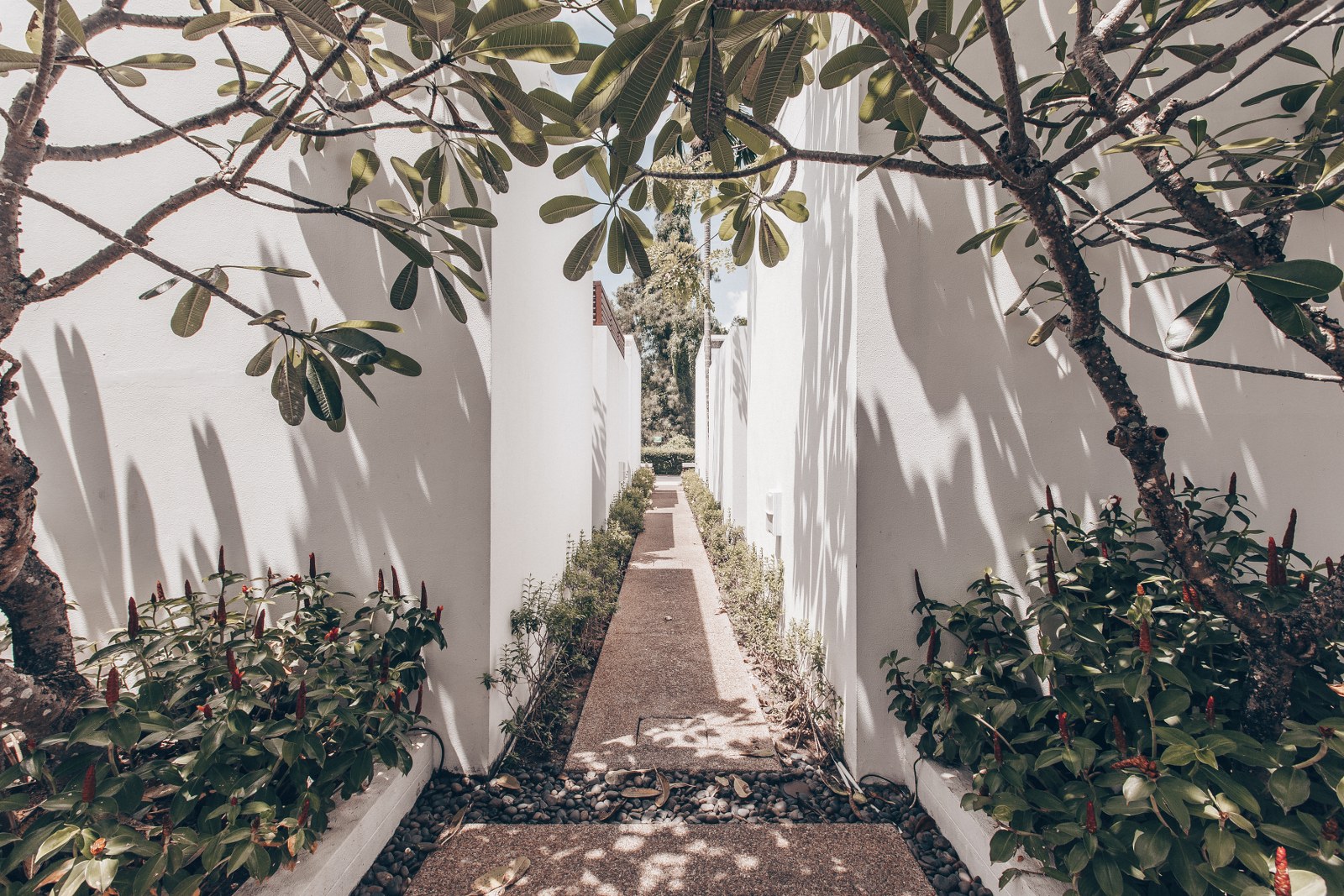 Property image - gallery 40