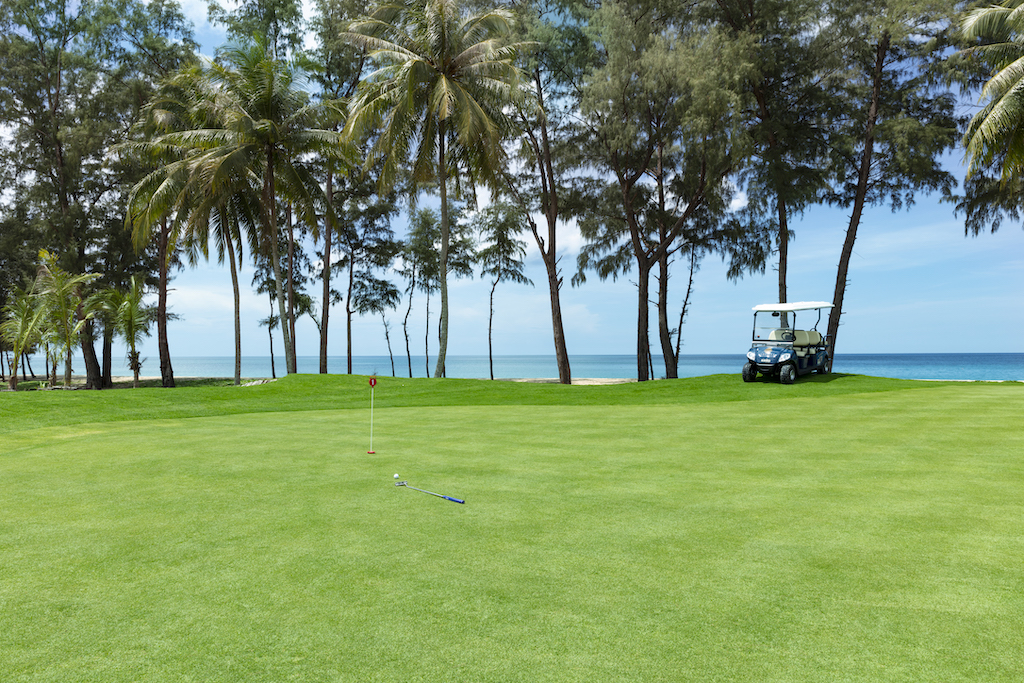 Property image - gallery 22