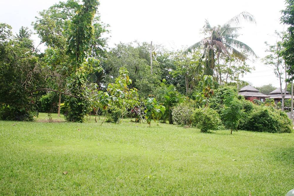 Роскошная вилла с 3 спальнями и с видом на бассейн в проекте Интира Виллас, на пляже Равай